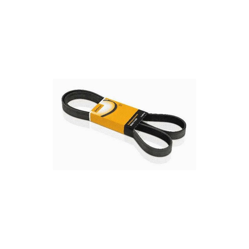 CORREIA 4PK1065 - CONTIN.ELITE - 4PK1065