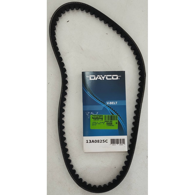 CORREIA 13X0825 /9325 - DAYCO - 13X0825C