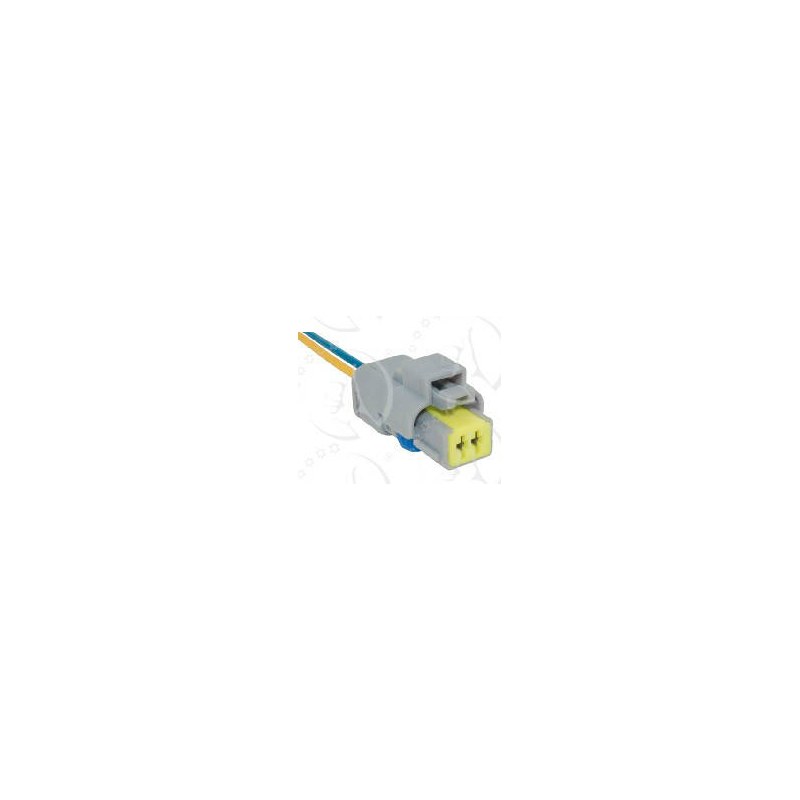 CONECTOR /CHICOTE C/02 VIAS - RAINHA - ETE7663