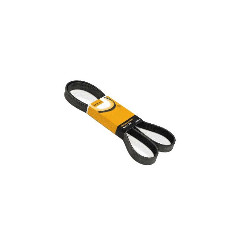 CORREIA 5PK1105 - DAYCO - D5PK1105