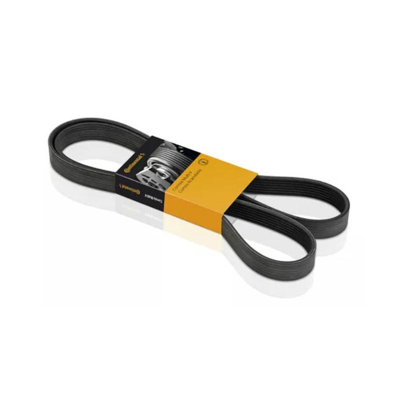 CORREIA 5PK1813 - CONTIN.ELITE - 5PK1813