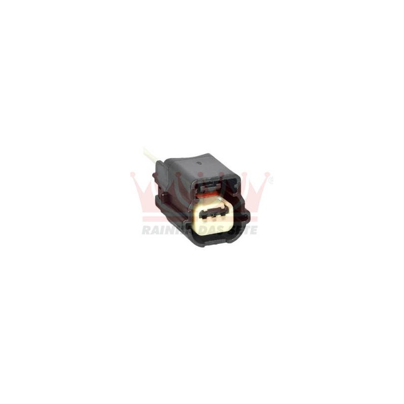 CONECTOR /CHICOTE C/03 VIAS - RAINHA - ETE5436